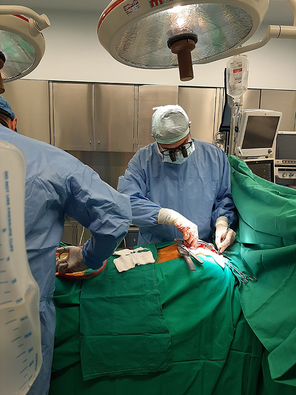 Dr. GRITSOPOULOS - xeir 3